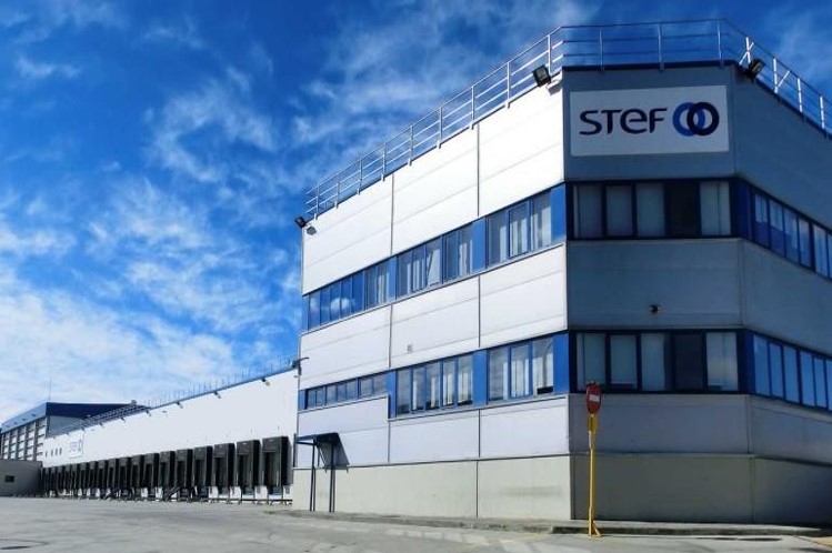 FIDENZA STEFF- Dettaglio 1